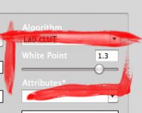 RoughProfiler White Point